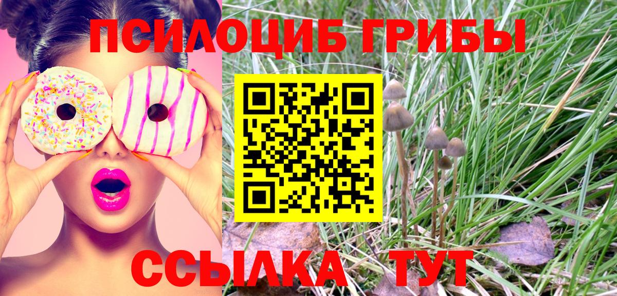 Псилоцибиновые грибы GOLDEN TEACHER  Вход с VPN  Псилоцибиновые грибы Psilocybine cubensis  Златоуст 