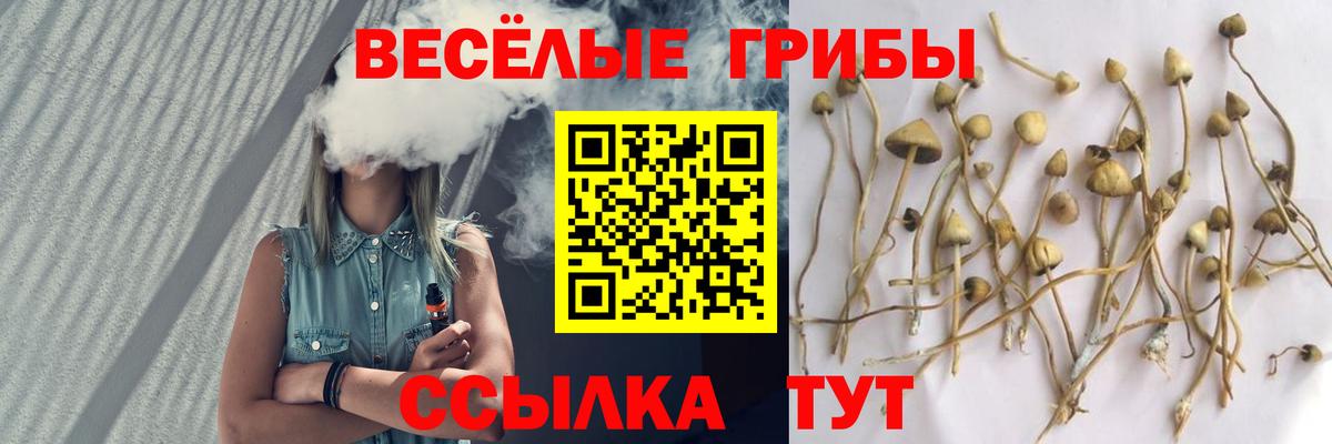 Псилоцибиновые грибы ЛСД Златоуст